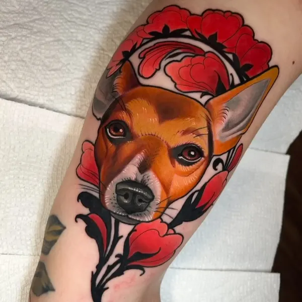 Animal