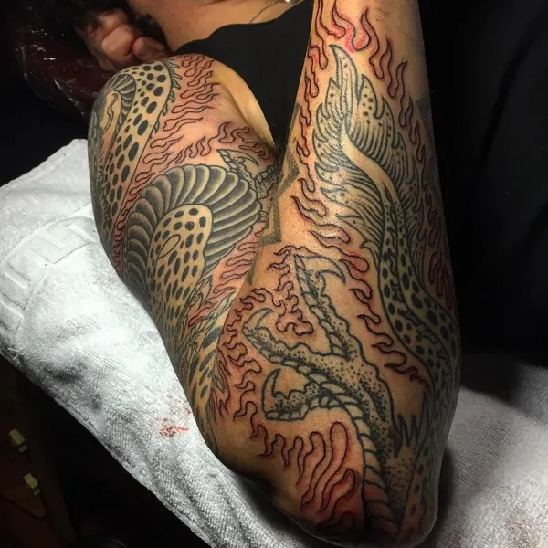 Dragon, Animal