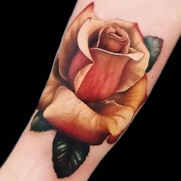 Flower, Rose