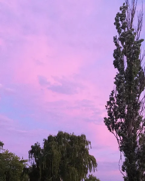 fflowerporn