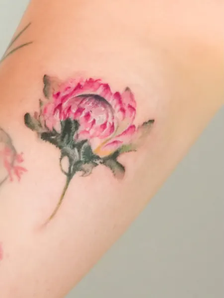 Flower, Rose, 모란, 양귀비