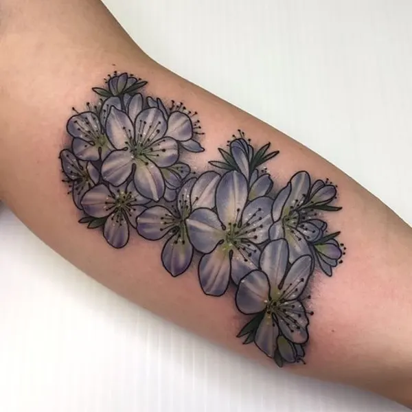 Flower, Rose, 수국, 국화, 모란