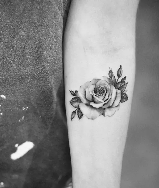 Flower, Rose