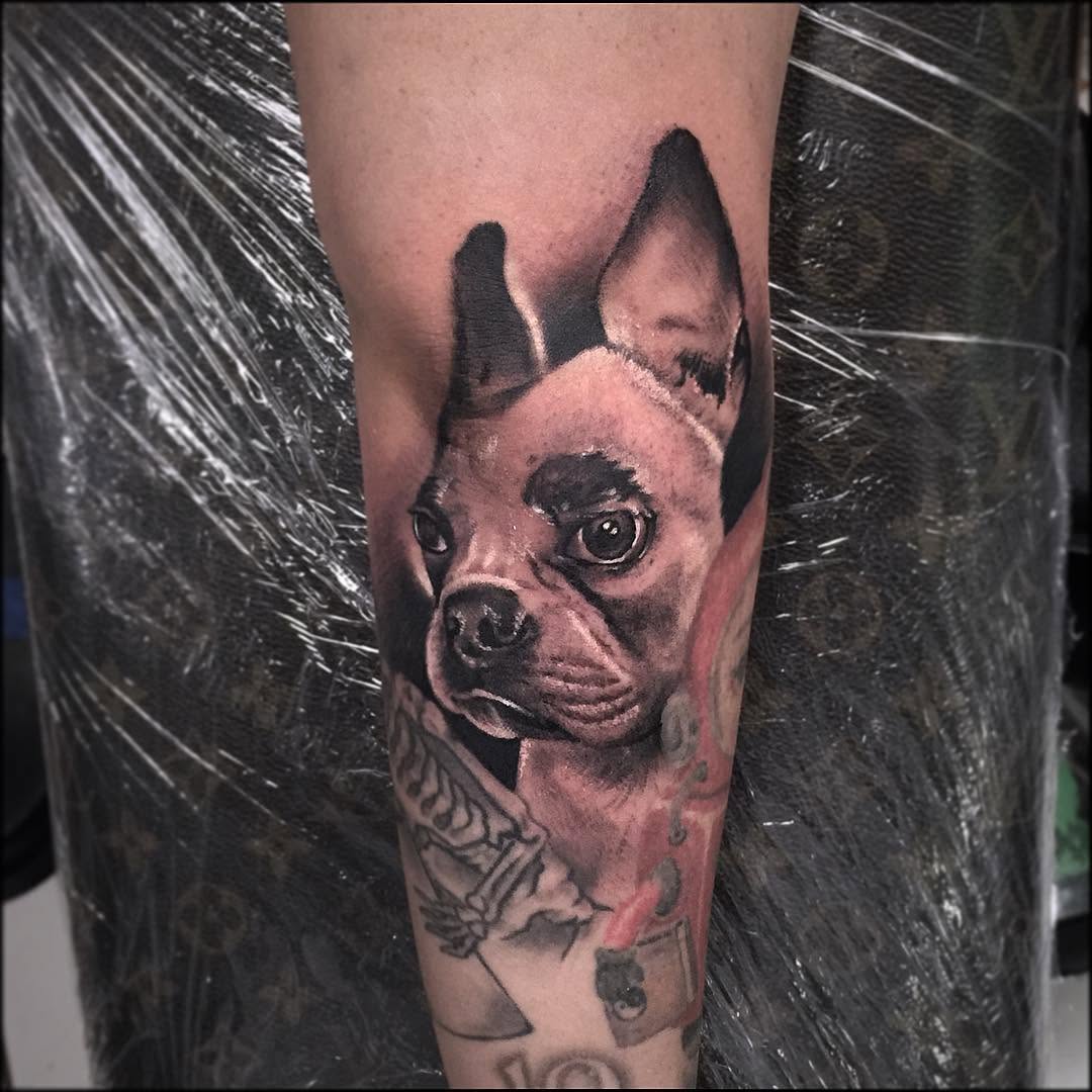 Animal