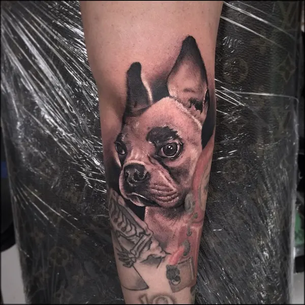 Animal