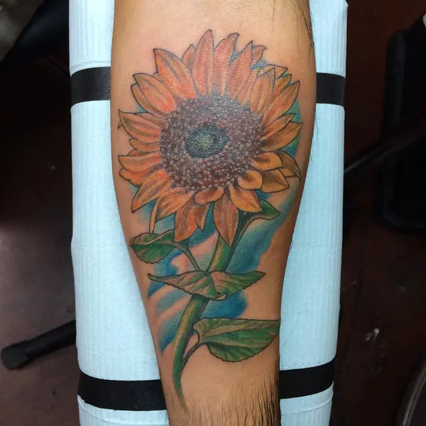 Flower, 해바라기