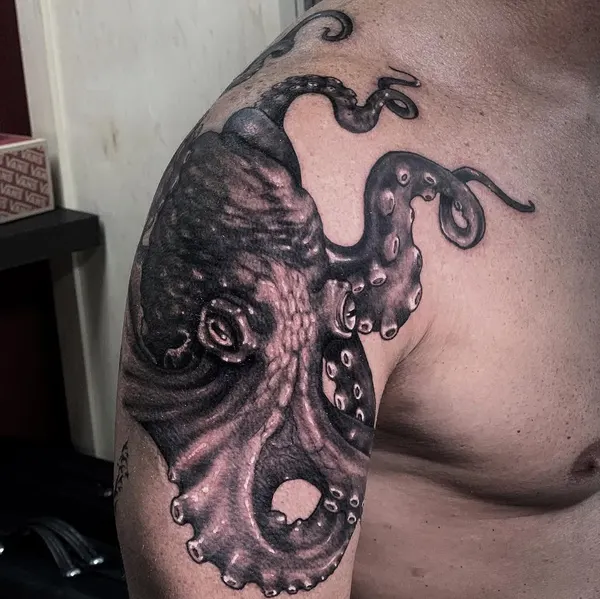 Animal, 크라켄, 문어