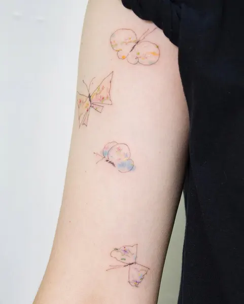 Animal, Nature, 나비