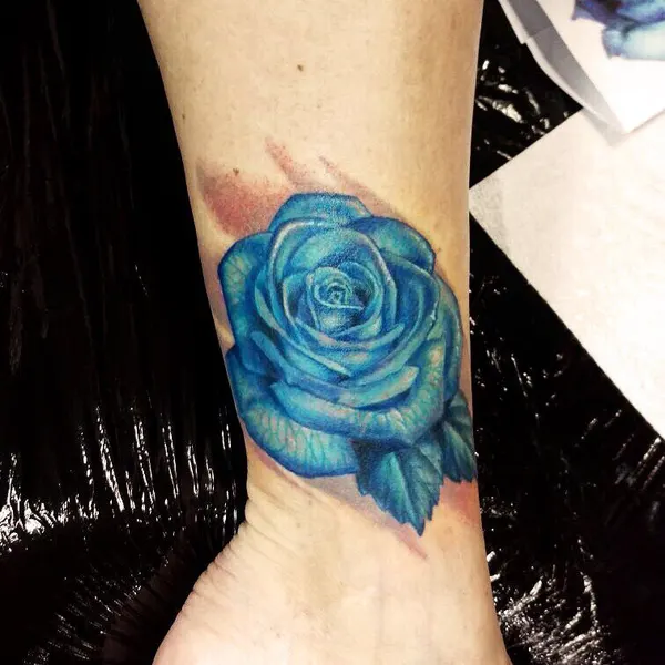 Flower, Rose