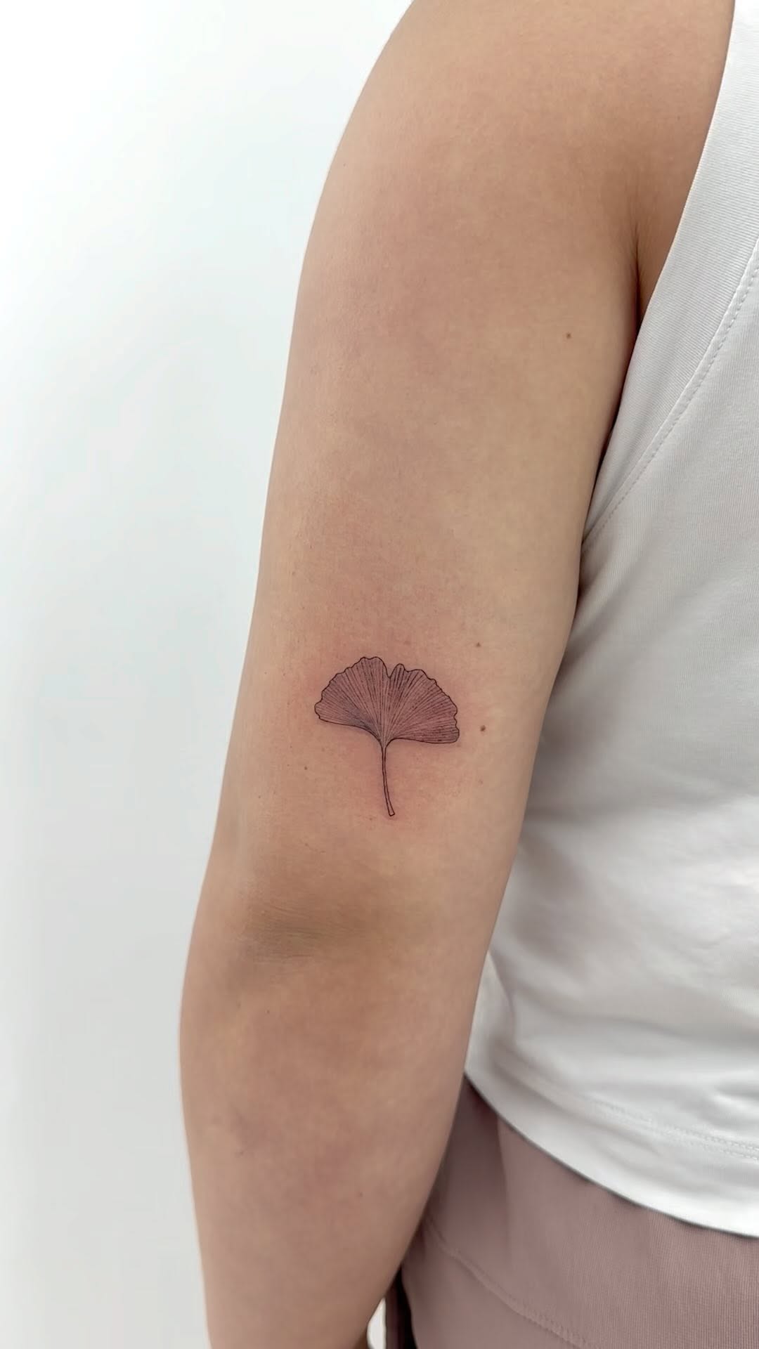 Flower, 버섯, 은행잎, 벚꽃, 양귀비