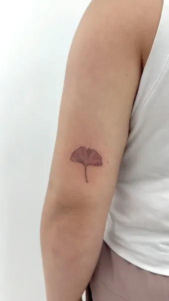 Flower, 버섯, 은행잎, 벚꽃, 양귀비