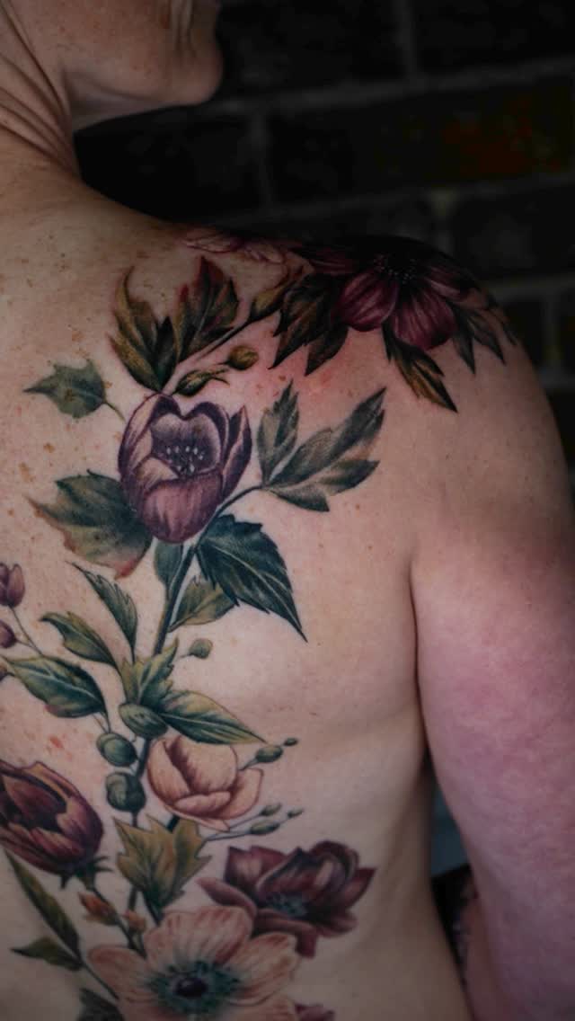 Flower, Rose, Nature