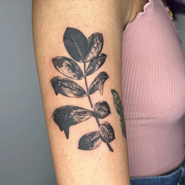 Flower, Rose, Nature