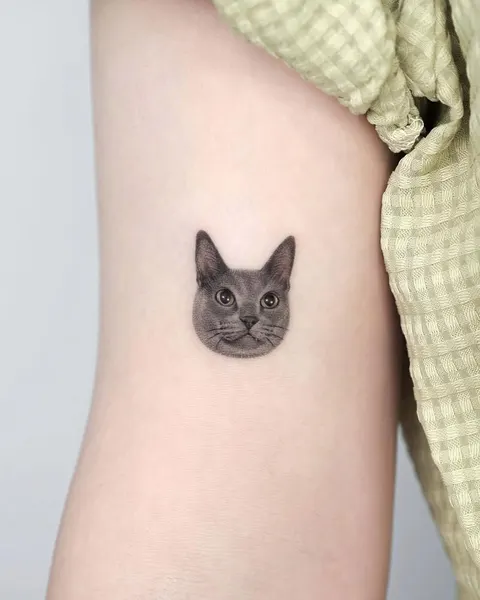고양이
