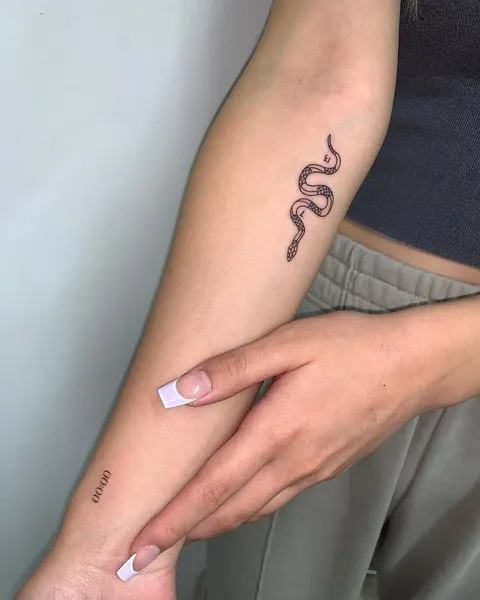 Dragon, 체인, 물병자리, 전갈자리, 서예, 쌍둥이자리