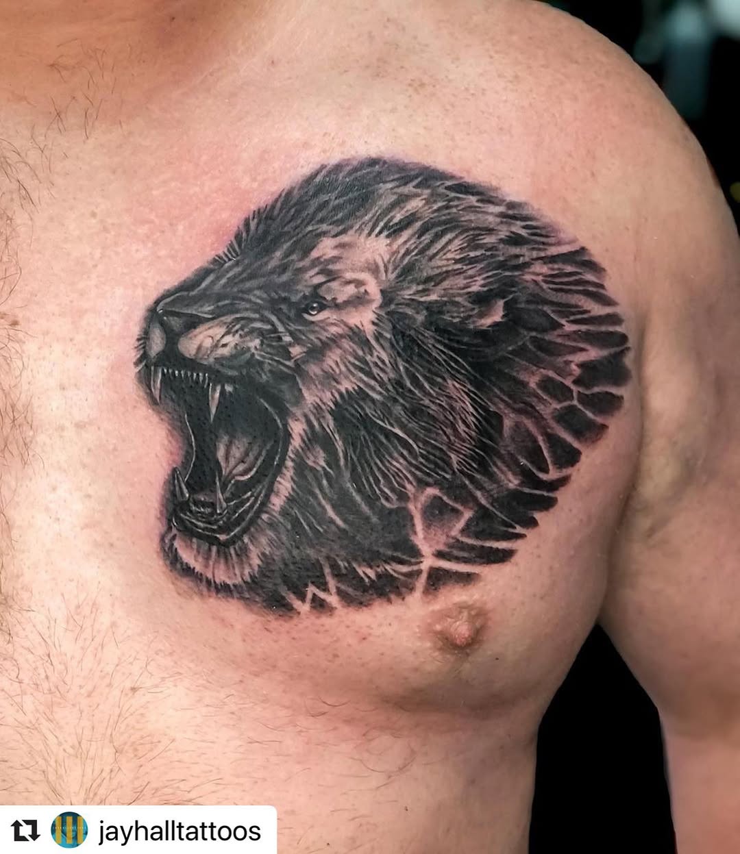 Tiger, 사자, 고릴라, 멧돼지