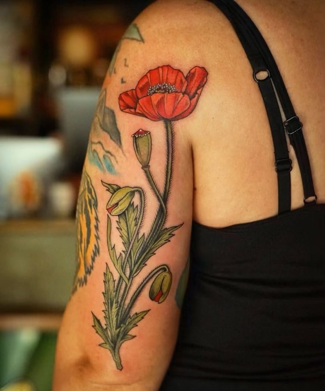 Flower, Rose, 양귀비