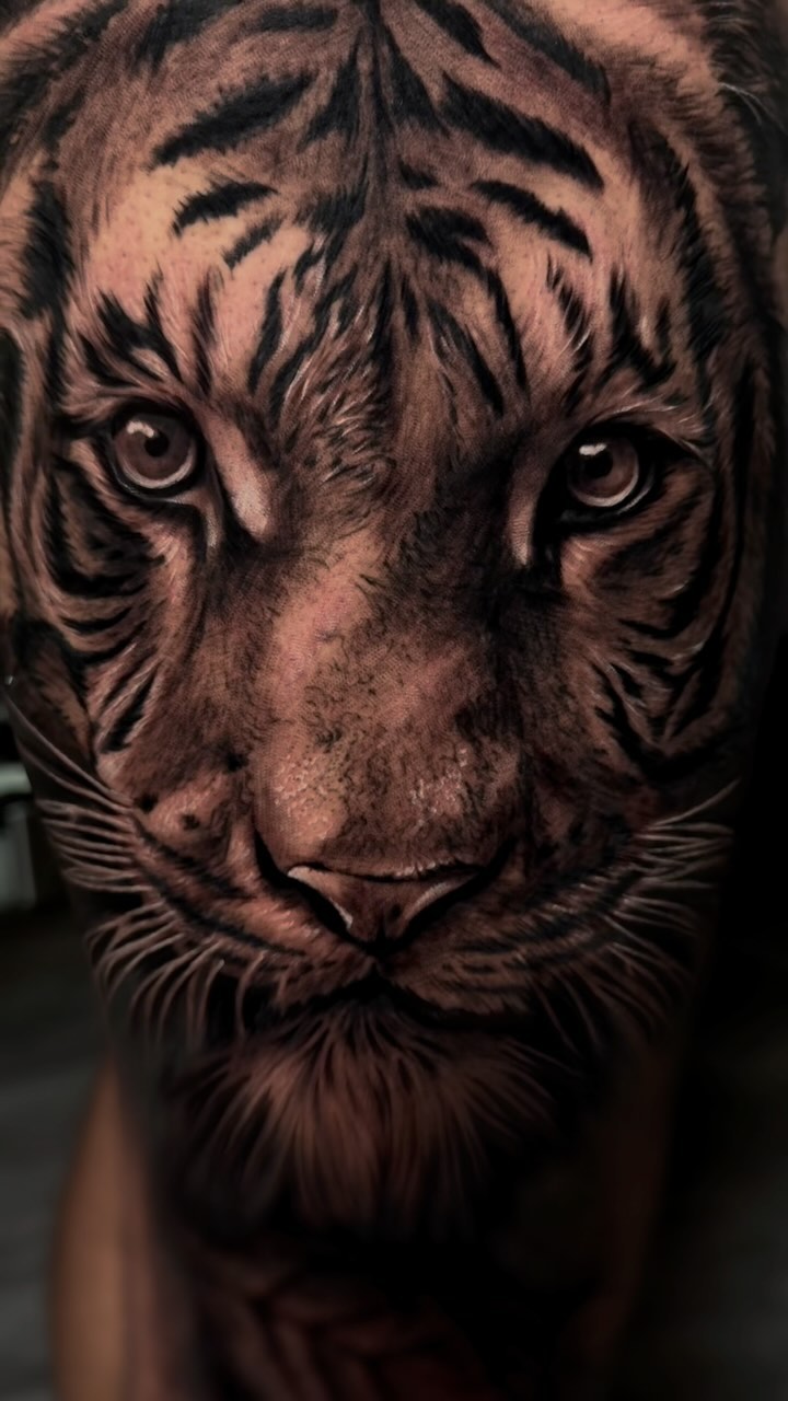 Tiger, 중국 호랑이