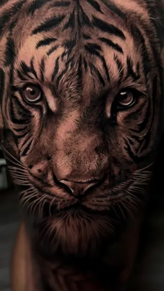 Tiger, 중국 호랑이