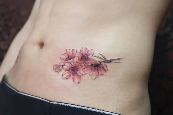 Flower, 난초, 벚꽃