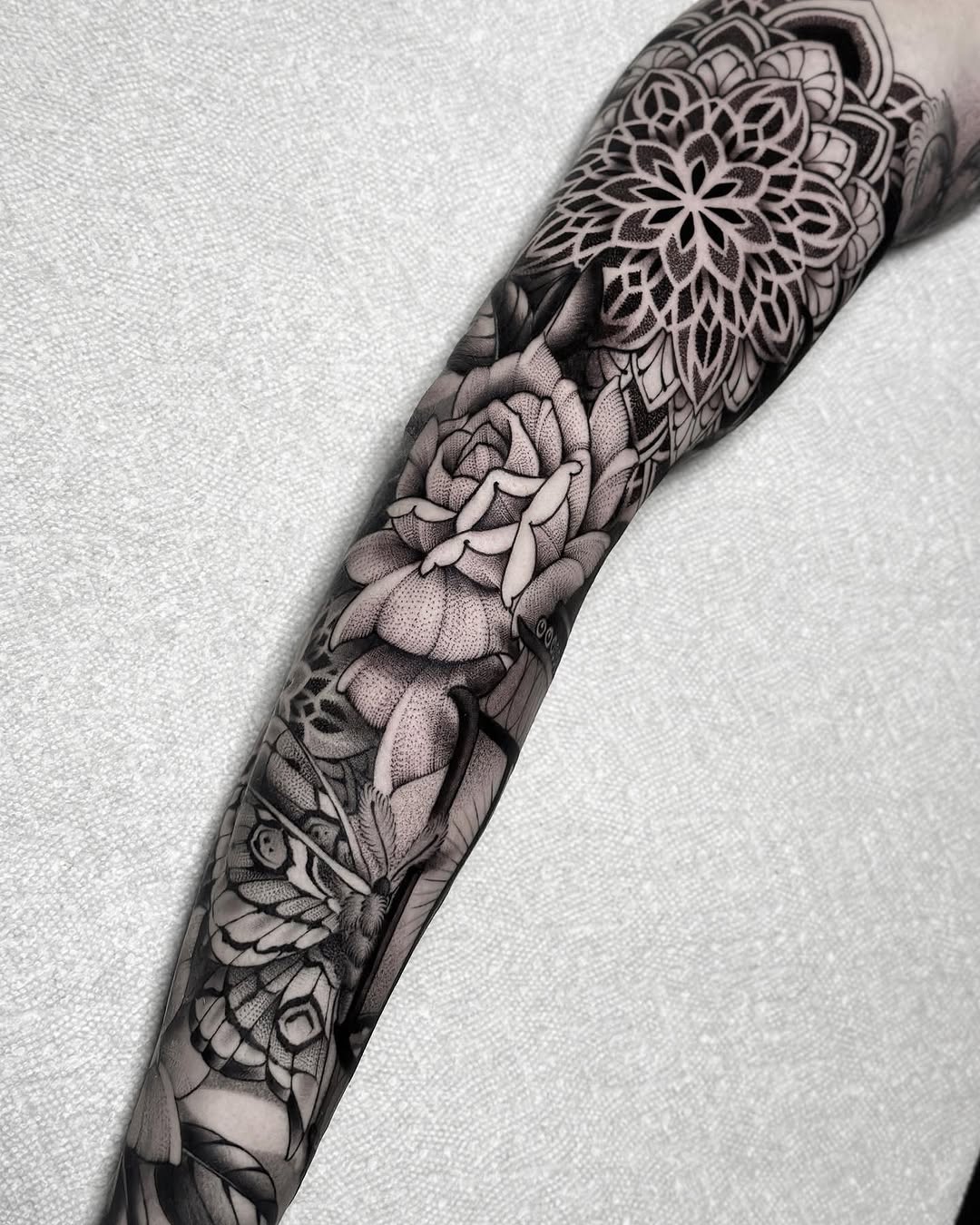 Flower, Rose