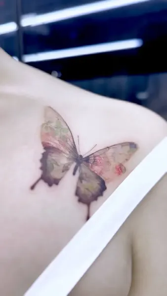 Animal, Nature, 나방
