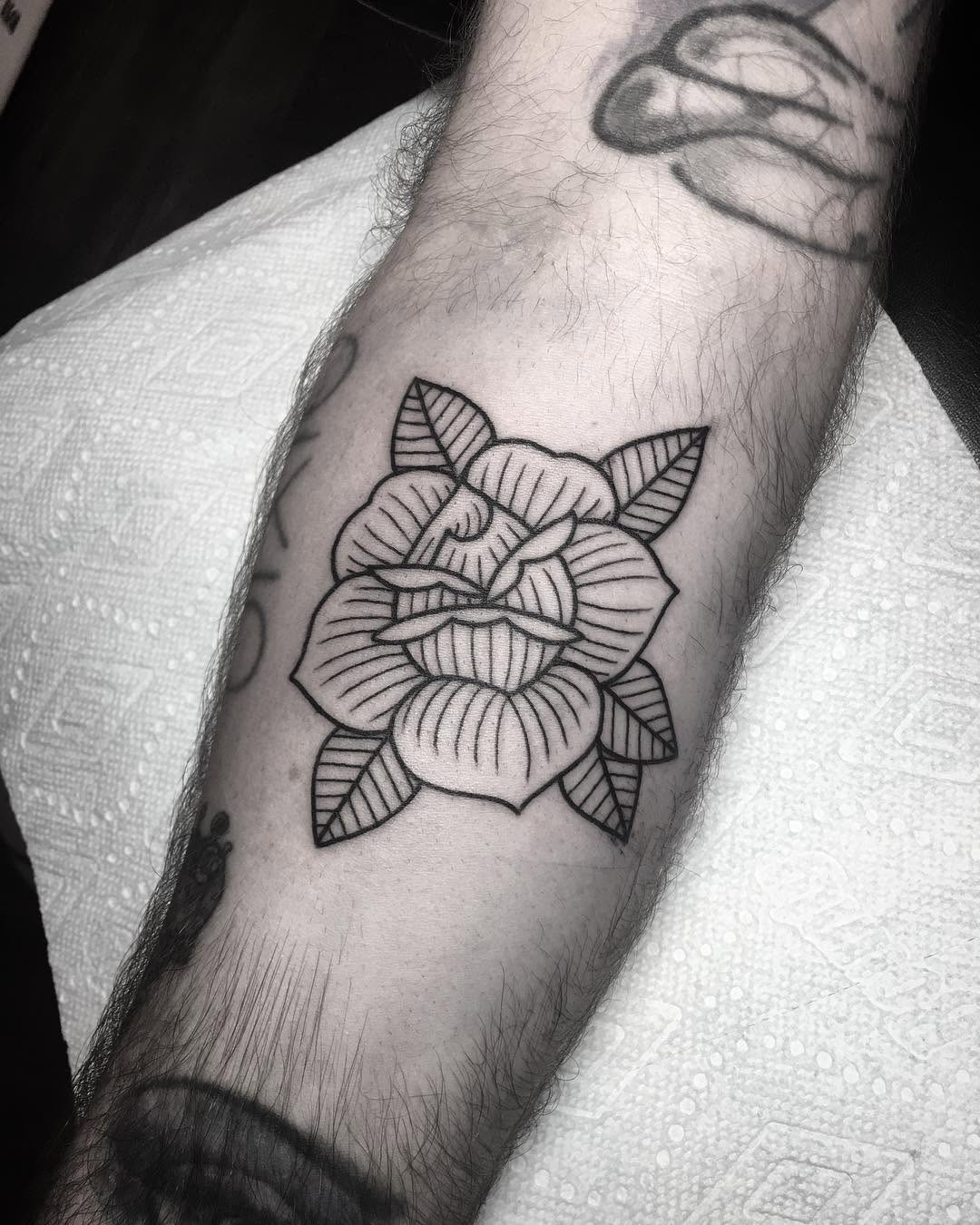 Flower, Rose