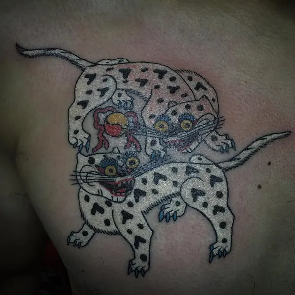 Tiger, Animal, 표범, 치타