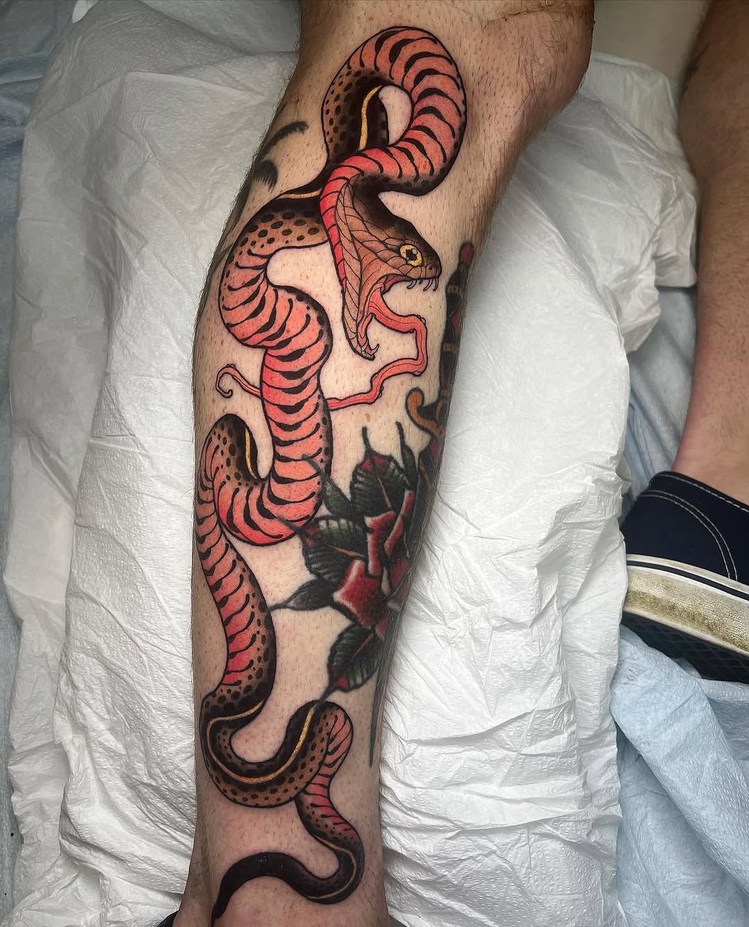 Dragon, 문어, 크라켄, 케르베로스, 해부학