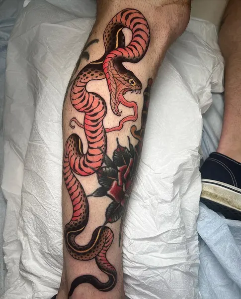 Dragon, 문어, 크라켄, 케르베로스, 해부학