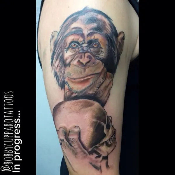Tiger, Animal, 원숭이