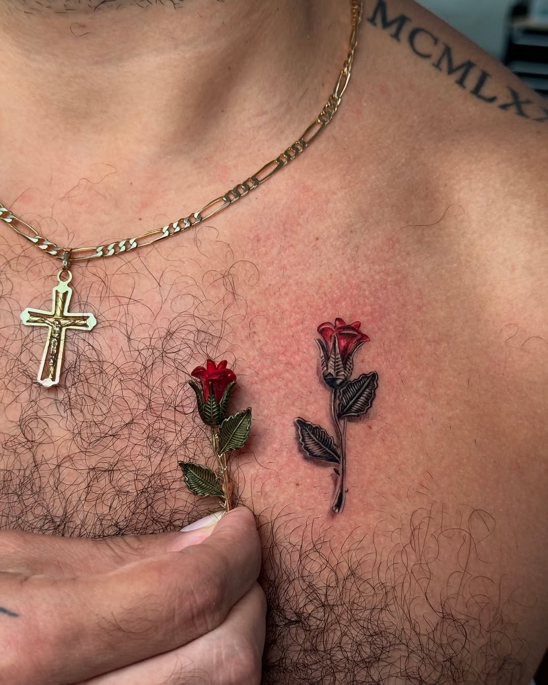 Flower, Rose, Nature, 묵주