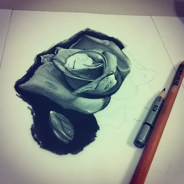 Flower, Rose