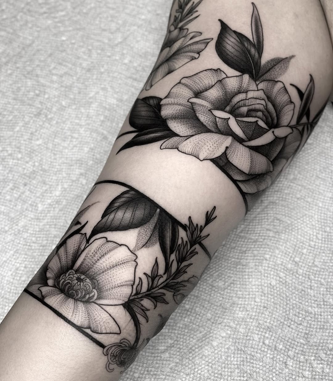 Flower, Rose
