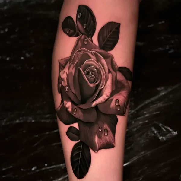 Flower, Rose