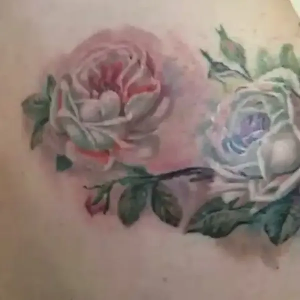 Flower, Rose, Nature