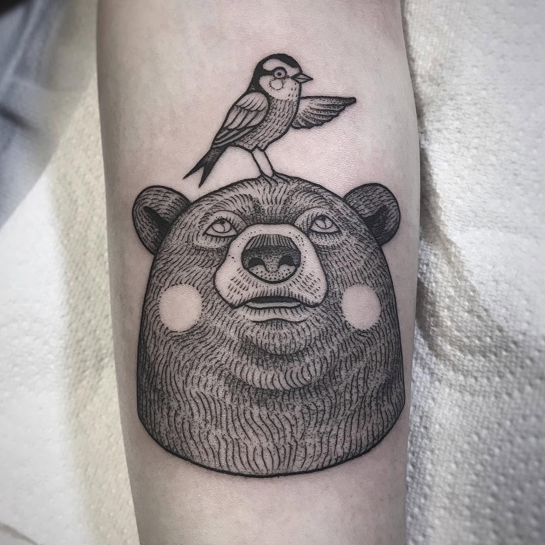 곰, Animal, 판다, 나무늘보, 코알라