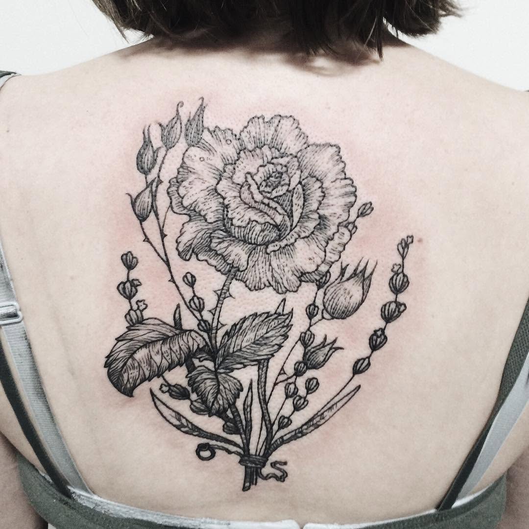 Flower, Rose, Nature