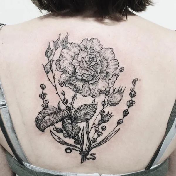 Flower, Rose, Nature