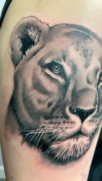 치타, Tiger