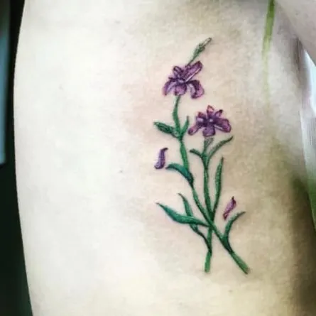 Flower, 허브, 라벤더, 난초