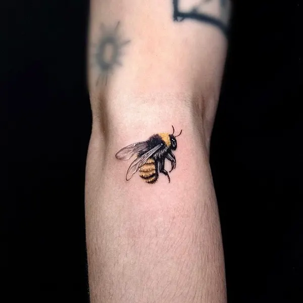equilattera