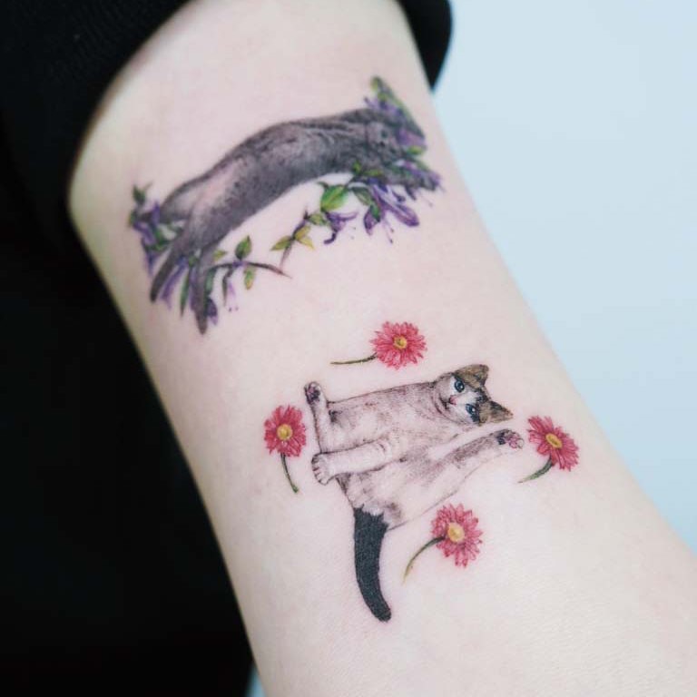 Animal, 총, 권총, 무궁화