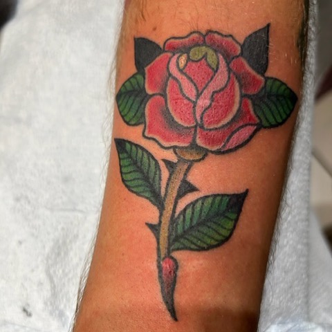 Flower, Rose