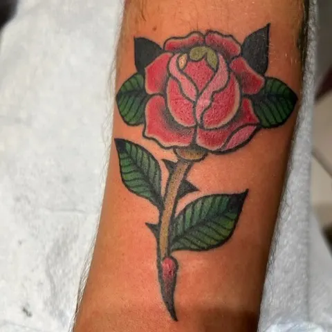 Flower, Rose
