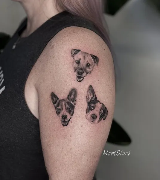 Animal, 발자국, 반려동물 추모
