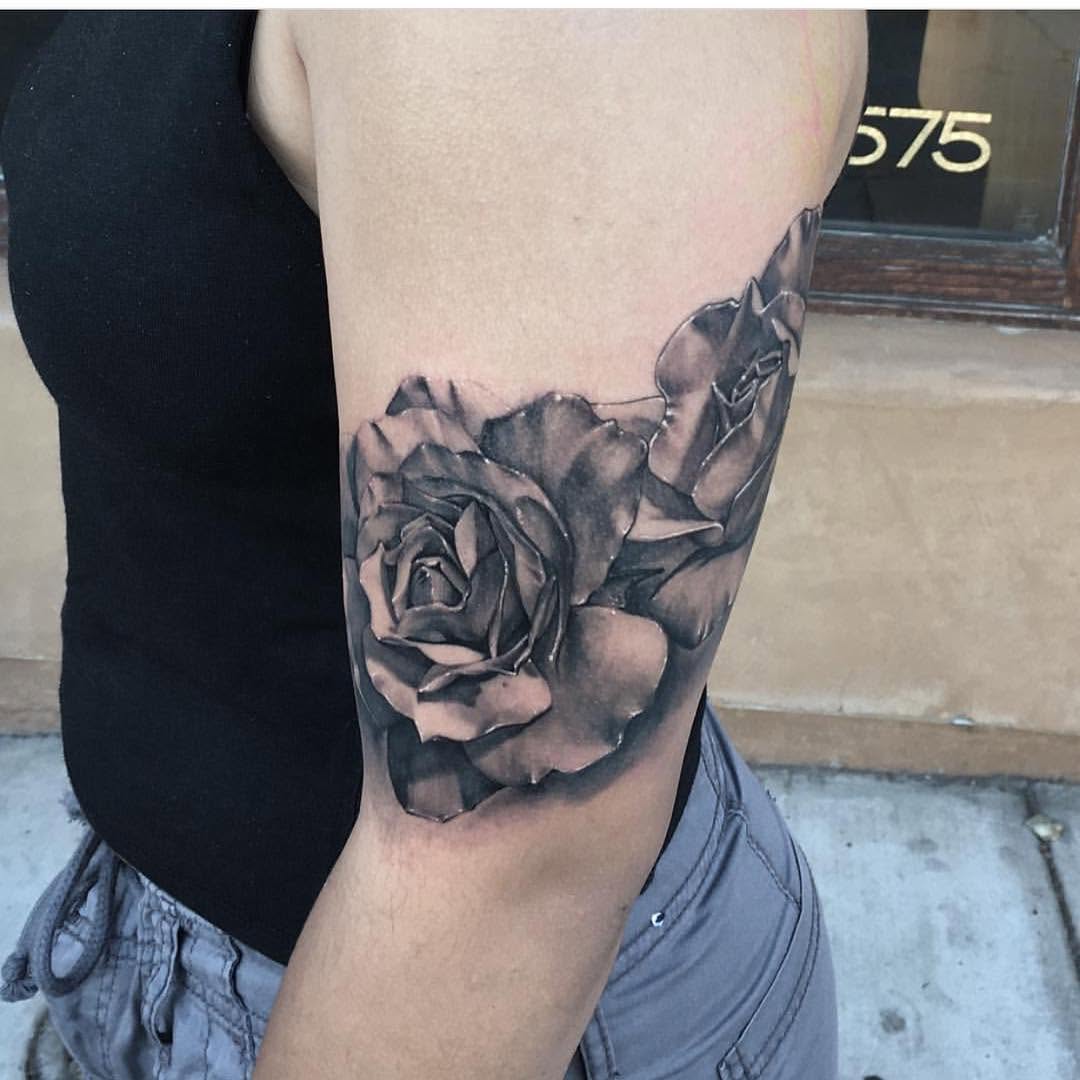 Flower, Rose, Nature