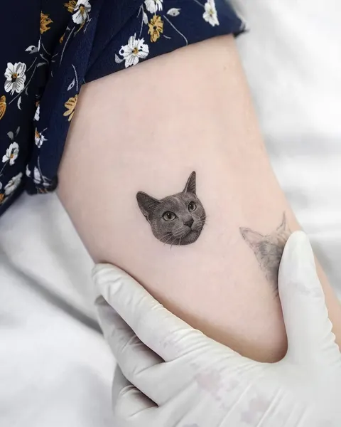 고양이