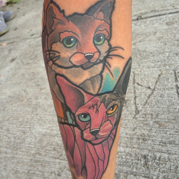 Animal