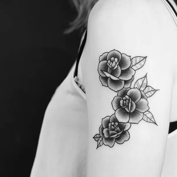 Rose, Flower, Nature